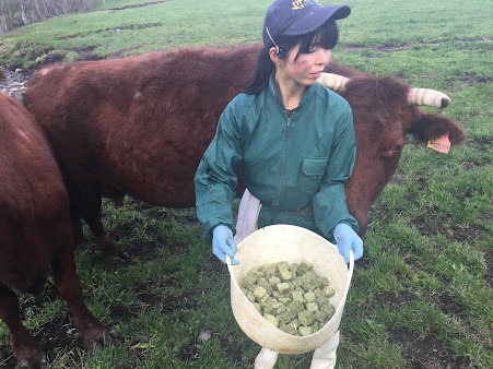 国産原料・自社配合で安全な飼料給仕